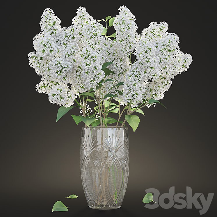 White lilac in a crystal vase / White Lilac in a crystal Vase