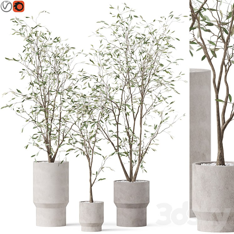 Plants collection 900