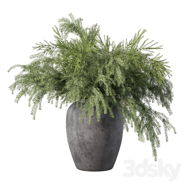 Bouquet Pine Branches Set.27