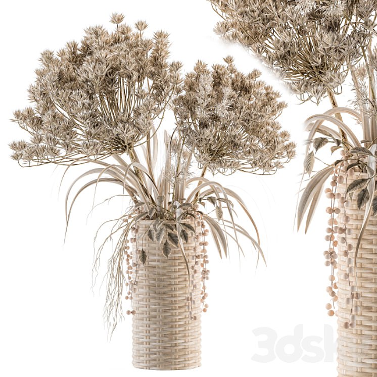 Dry plants 22 - dried Bouquet in Wicker Basket Vase