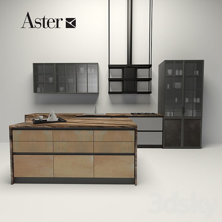 Aster - factory