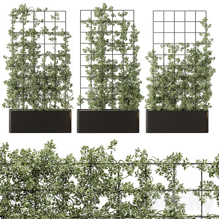 Vertical Garden Partiton - Set 101