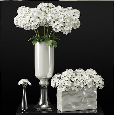 Hydrangeas arrangements-hydrangea