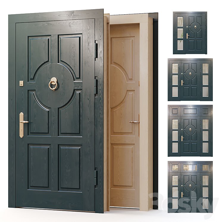 Entrance door for the main entrance 01