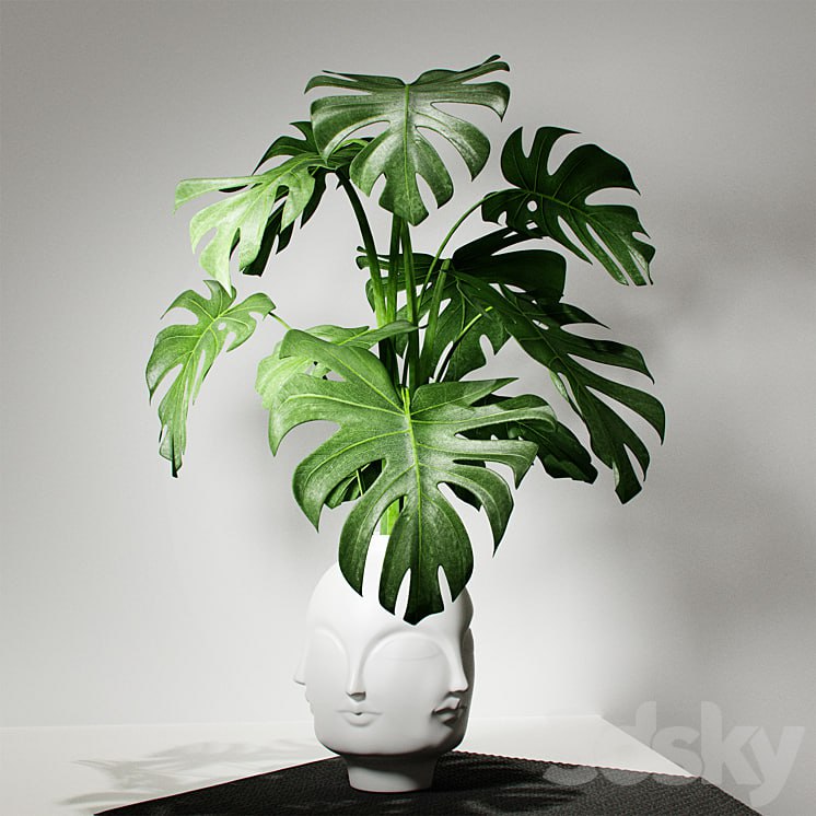 Monstera vase DORA MAAR by Jonathan Adler