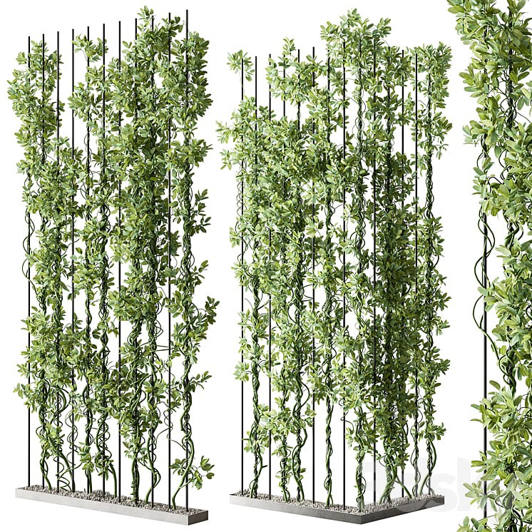 Vertical Garden Partiton - Set 111