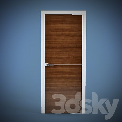 Contemporary door