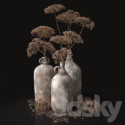 Jugs with dry dill stalks