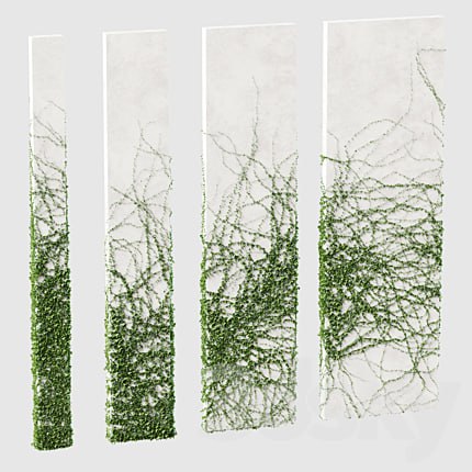 Ivy for rectangular columns. 4 models