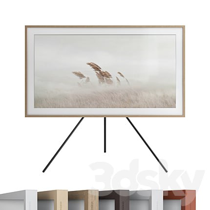 Samsung Class The Frame ArtMode QLED 4K HDR Smart TV (2020)