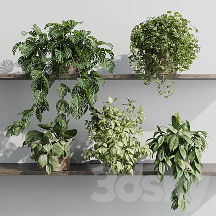 wall plant - set Indoor plant 408 plants on shelf in handmade wooden basket
