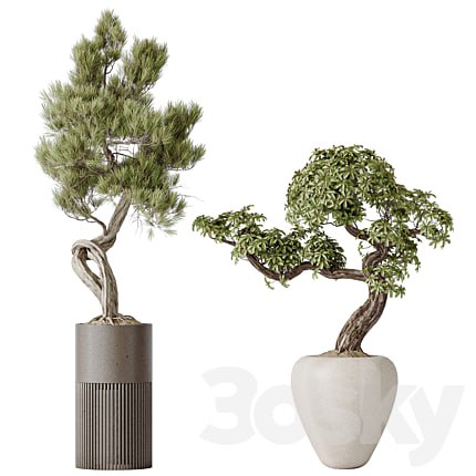 Indoor plant set 23