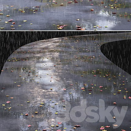 Autumn road with leaves and puddles