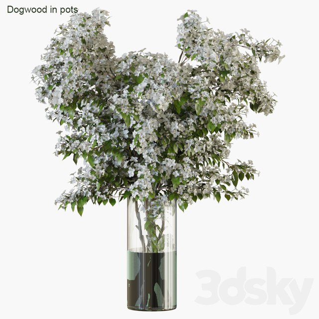 Branches in vases 34 , , , , ,