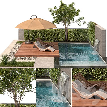 Backyard with Pool & plants & Furniture