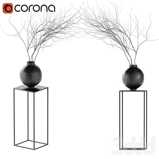 Decorative dry plant