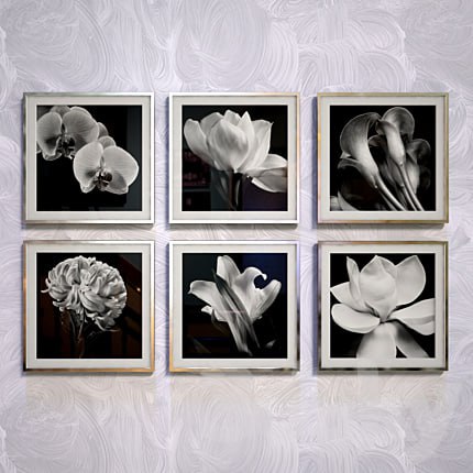 Contemporary fine arts