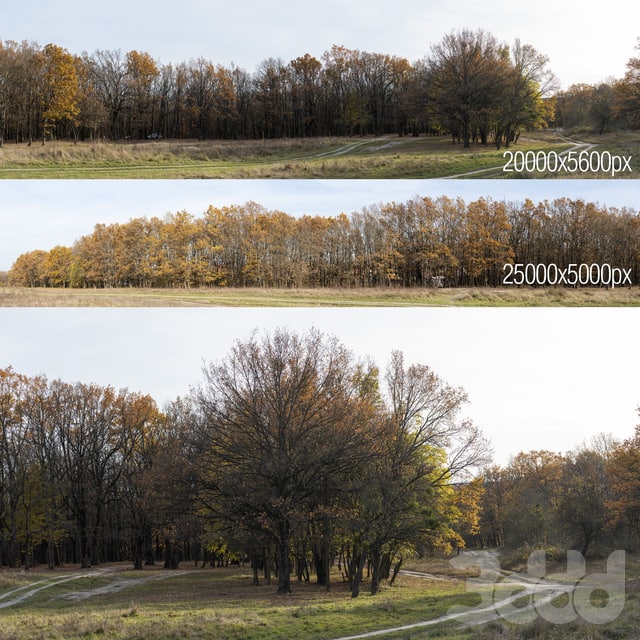 Дубовая роща. 2 панорамы