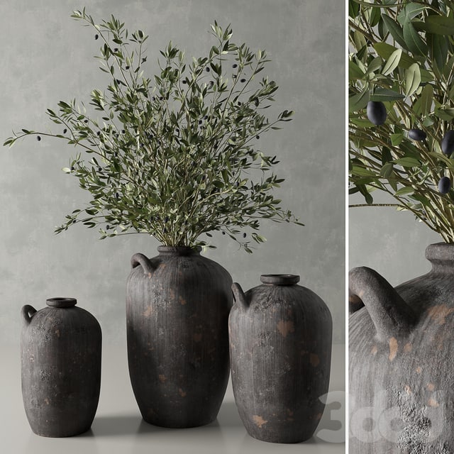 Vases with olive branches
