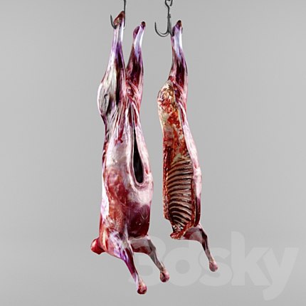 the carcass of an animal