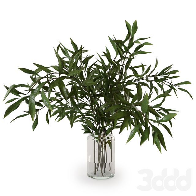 Branches in a vase 007