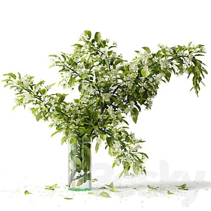 Bouquet blooming branch, spring flowers in a glass vase