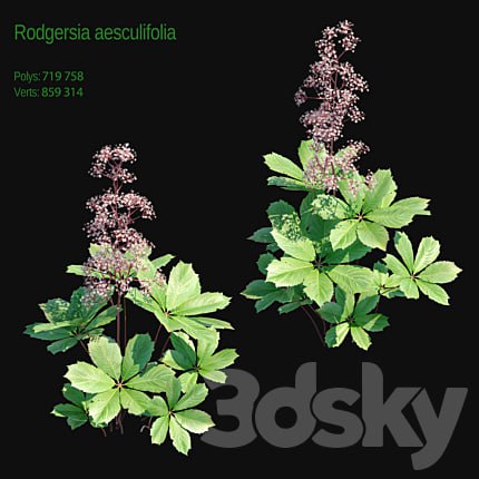 Rogers horse chestnut 2