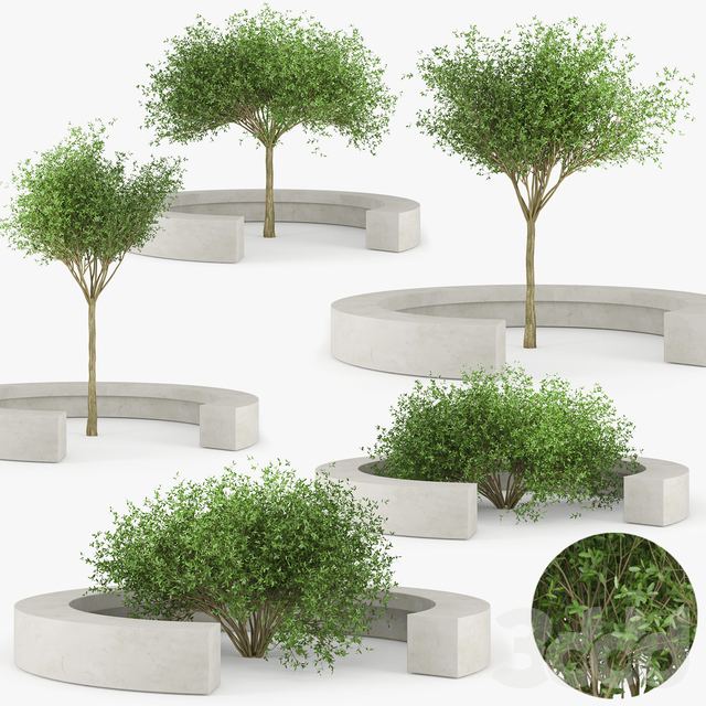 COMB BY VORA ARQUITECTURA Tree Bench