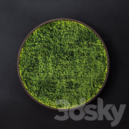 Moss wall disk