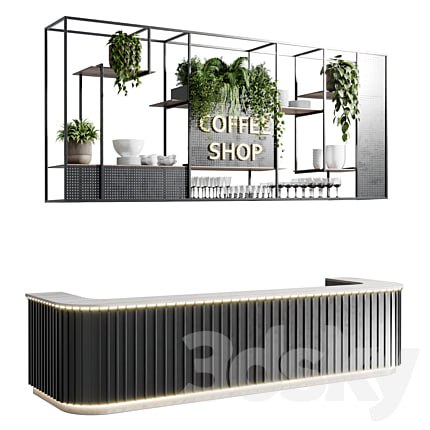 Coffee shop reception, Restaurant counter by hanging plant - 02