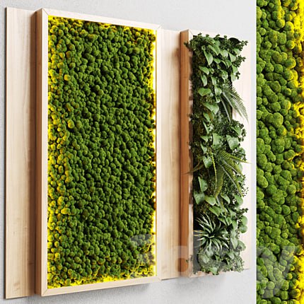 wall garden and vertical moss in wooden frame 22