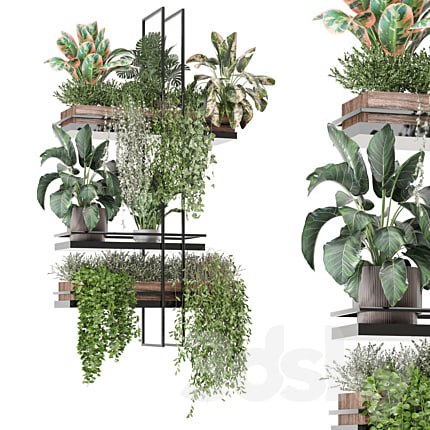 indoor plants in metal box 1580