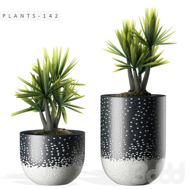 PLANTS 142