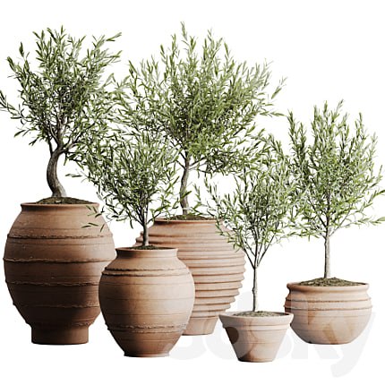 outdoor plant set 06