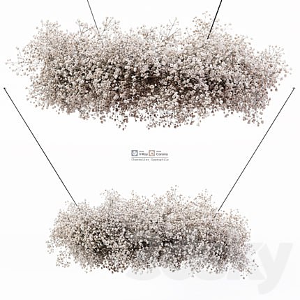 Chandelier Gypsophila