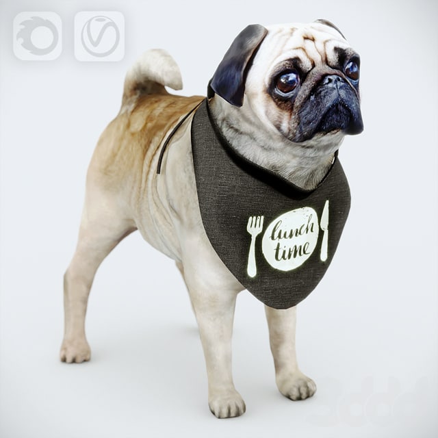 Cute Pug (vray + corona)