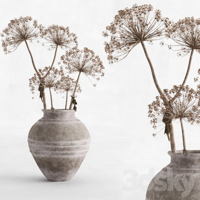 Hogweed in a clay vase