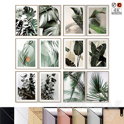 Картины растения