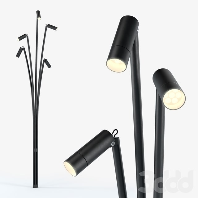 Brillamenti reanuzza