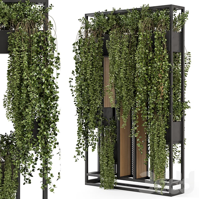 Indoor Hanging Plants in Metal Stand - Set 1005 @redpromax