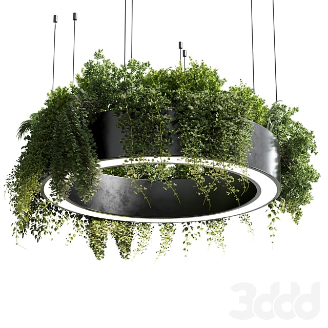 pot light - pendant plant light hanging 05