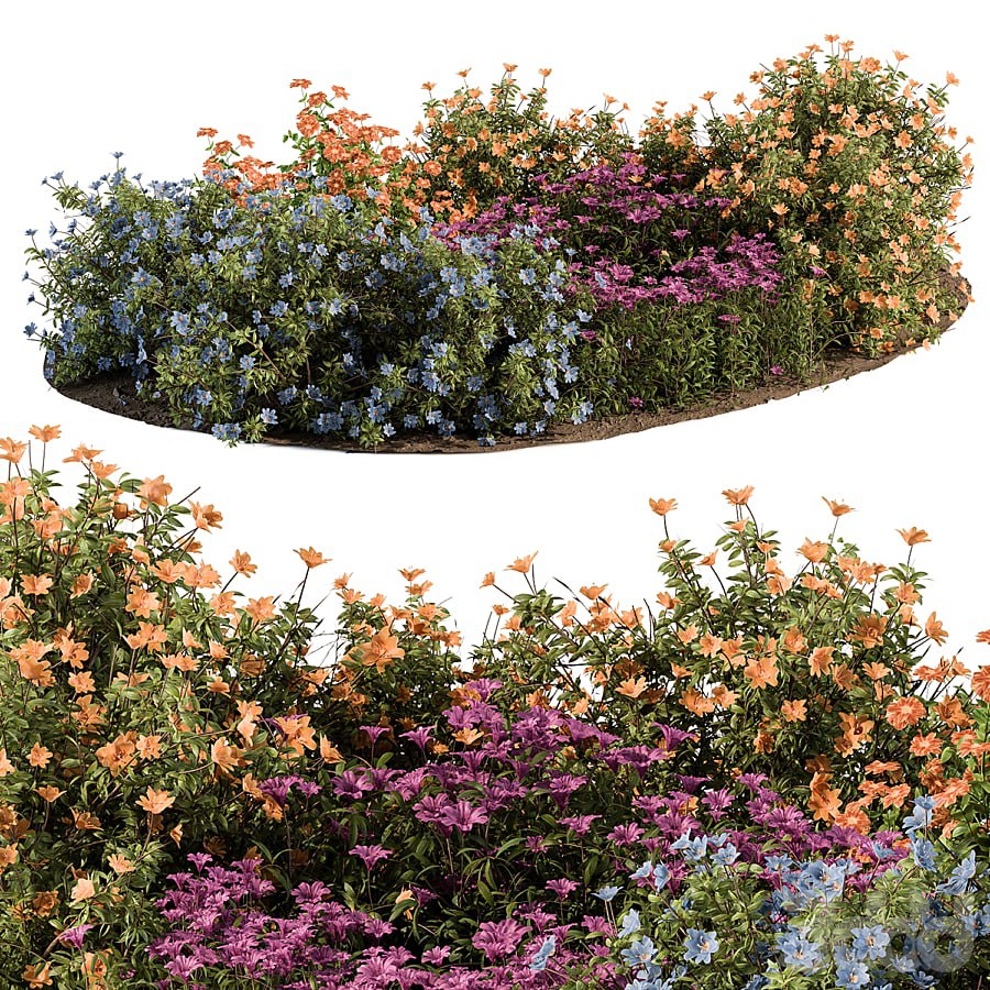 Garden Set colorful Flower Bush - Outdoor Plants Set 424
