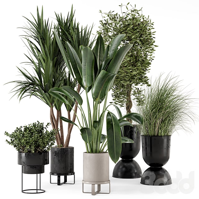 Indoor Plants in Ferm Living Bau Pot Large - Set 312