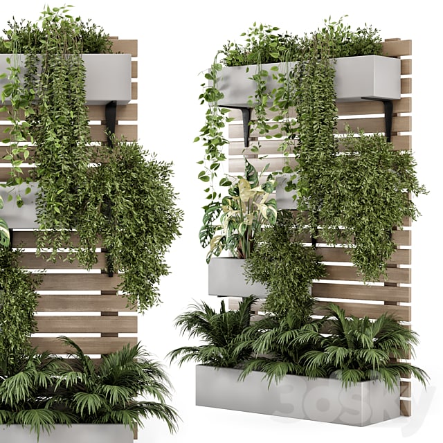 Indoor Hanging Plants in Metal Stand - Set 1131