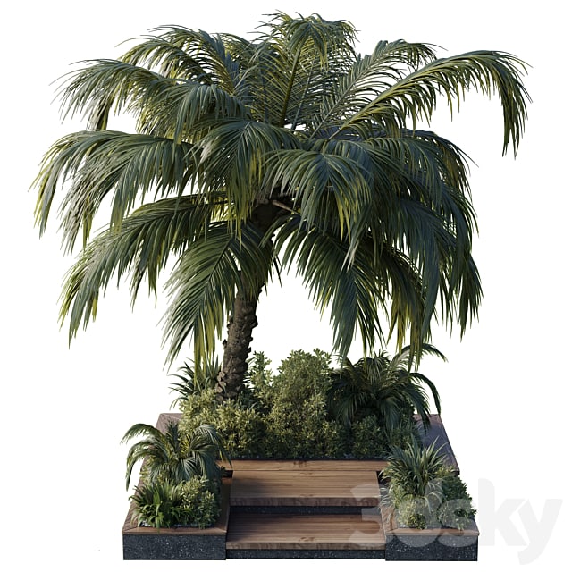 garden pot tree palm bush fern grass concrete base Collection Outdoor plant 102