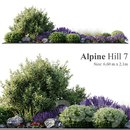 Alpine Hill 7