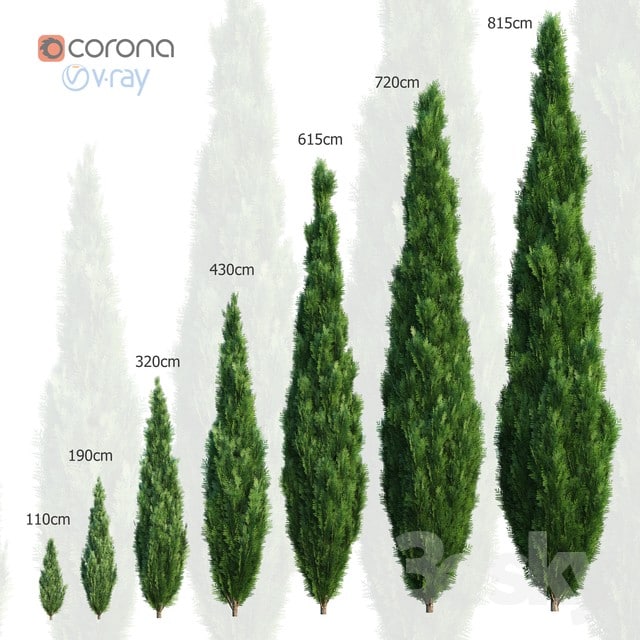 Туя. Набор из 7 моделей