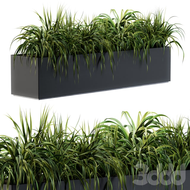 Ranch Grass plants in box - Outdoor Set 63