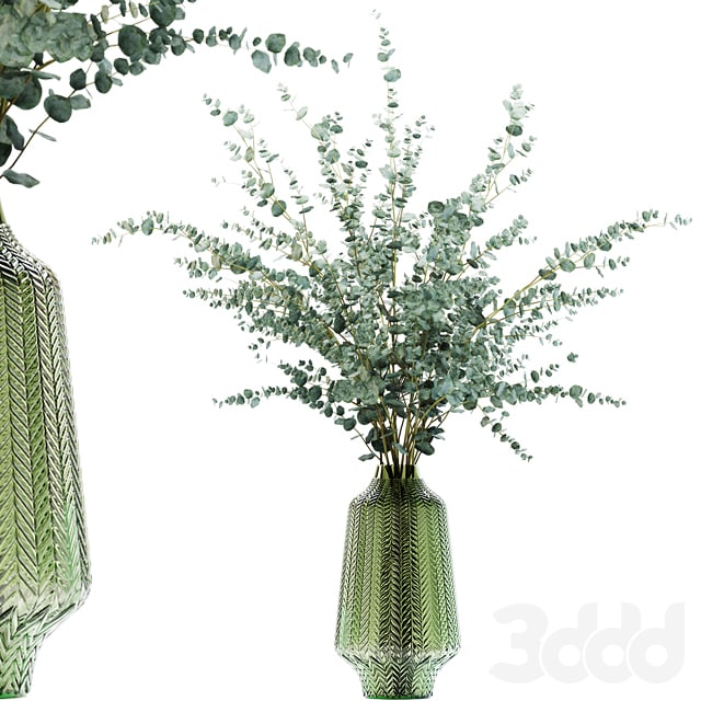 Eucalyptus branches in a green vase