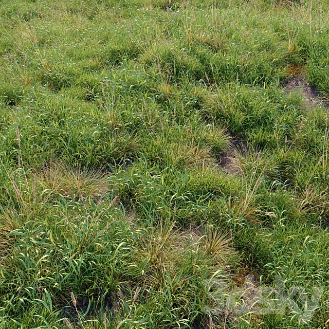 Meadow 09 , , , , , , , ,